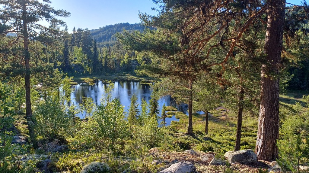 View from the sauna.