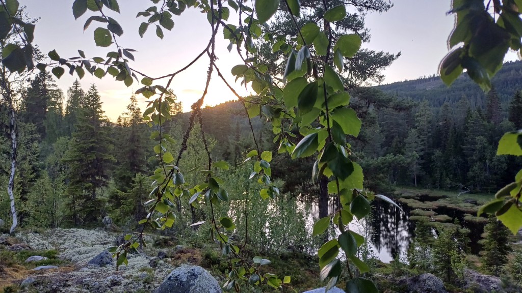 The sauna is part of the landscape.