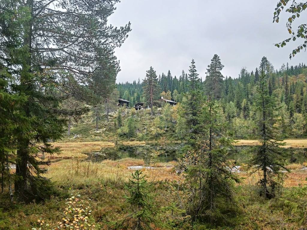 The saunas are located above a magical tarn, a small pond with water lillies. Lappalainen sauna is a spa in the wilderness
