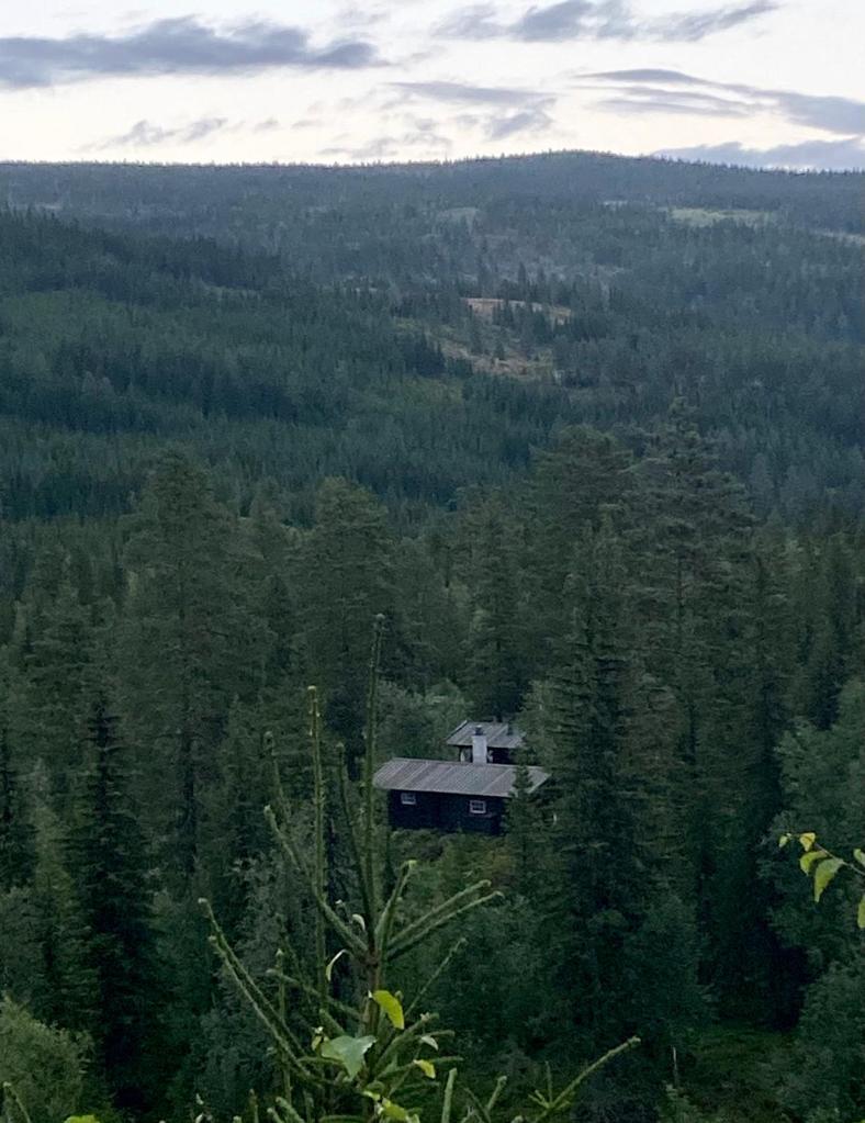 The location of the sauna resort offers privacy, beauty and relaxation.
It's in the backwoods of Koppang, Stor-Elvdal kommune, Norway