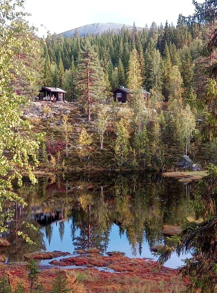 The saunas have not only a cold-plunge, Ukrainian shower and a hot tub, but also a beautiful tarn to swim in.