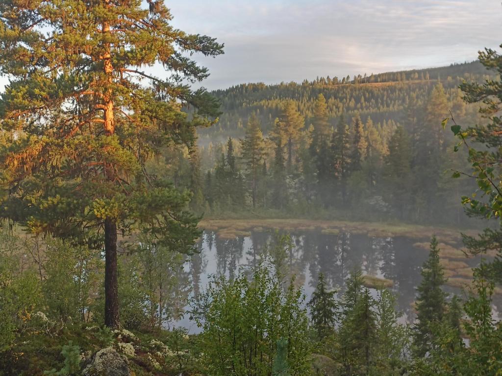 Early morning and the mist is rising below the sauna.