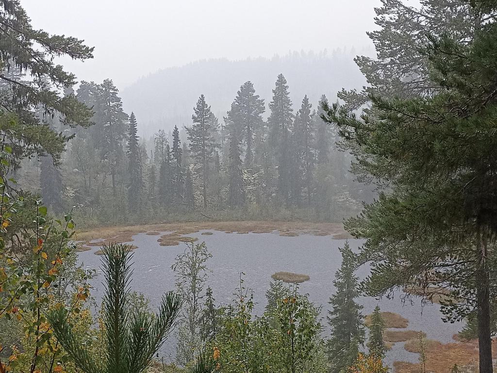 A fog is coming in from the river and approaching the tarn below the sauna.