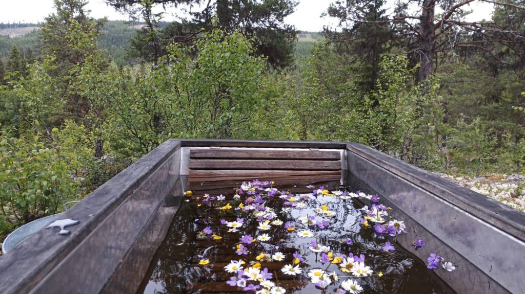 The hot tub with flowers of summer. After the cold-plunge the warm water restores your body temperature before next sauna session.
