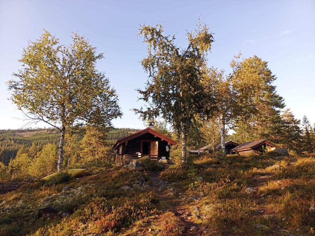 The sauna sessions take place in seclusion. Privacy guaranteed.